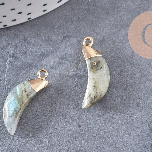 Pendentif corne labradorite, pierre, pendentif pierre,labradorite naturelle ,26mm, x1 (g0722)