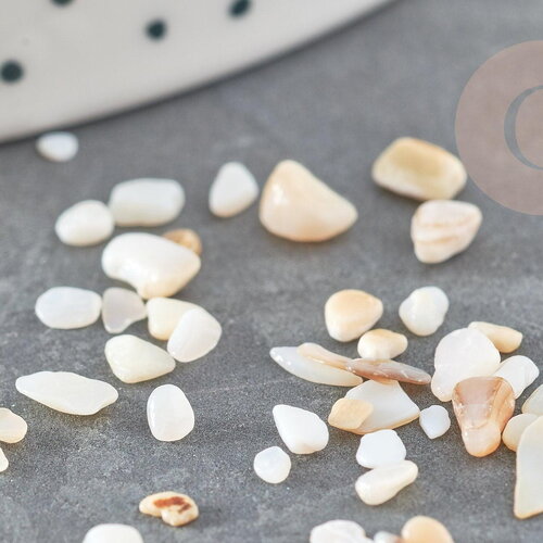 Sable chips coquillage nacre naturelle beige blanc 2-5mm non percé, x20gr (g9309)