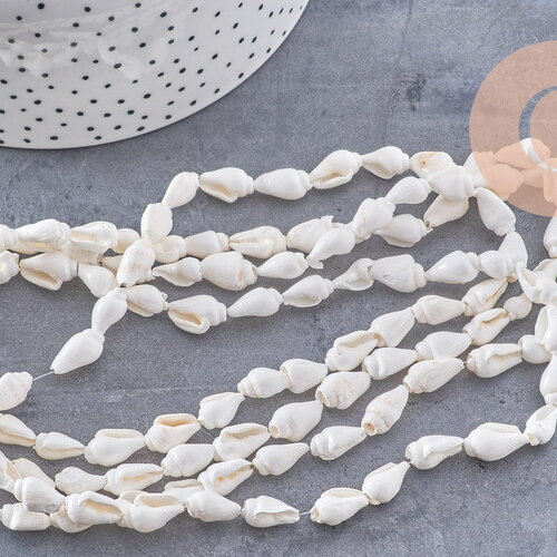 Perles coquillage naturel percés blanc, x1 fil de 135cm (g7987)