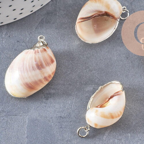 Pendentif coquillage argenté, coquillage naturel,création bijoux, coquillage bijou,coquillage argent, x1,26-38mm-g2311