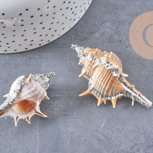 Pendentif coquillage naturel argenté 30mm, x1 (g1259)