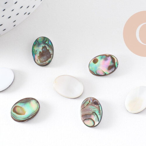 Cabochon ovale nacre noire naturelle ormeau 14mm, x1 (g5905)