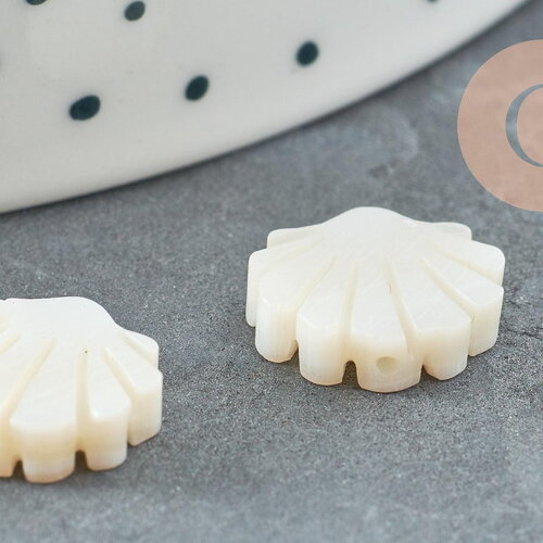 Perles coquillage nacre blanche naturelle 12mm, x2 (g3653)