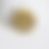 Pendentif médaille ronde palmier acier doré, pendentif doré,sans nickel, acier doré, création bijoux,médaille or,2.5cm,g2752