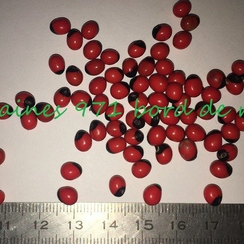 2 graines réglisse rouge tache noir