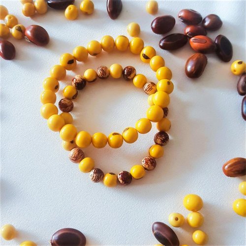 Graine açai jaune