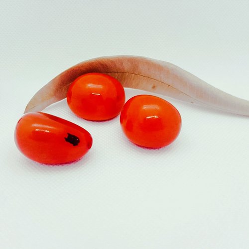 Ivoire végétal entière  orange