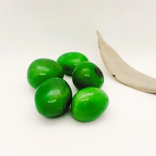 Ivoire végétal entière vert