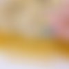 Graine de couleur jaune, de forme ronde