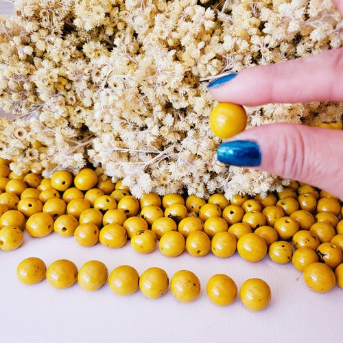 Graine de couleur jaune, de forme ronde