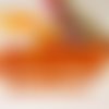 Graine de couleur orange, de forme ronde