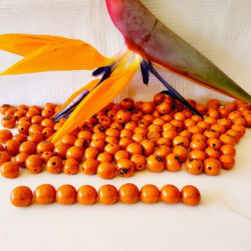 Graine de couleur orange, de forme ronde