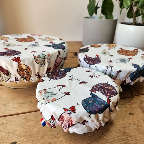 Charlottes pour plat - lot de 3