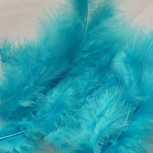 20 petites plumes couleur bleue, tailles differentes