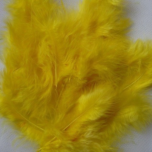 20 petites plumes couleur jaune, tailles differentes