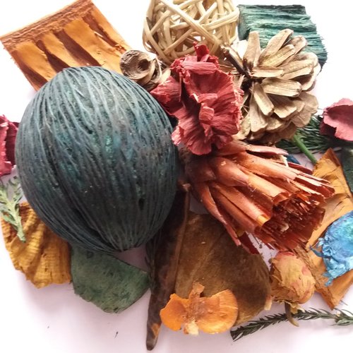 Végétaux séchés pour home-déco (lot 2) -  arts plastiques, décoration, créations personnelles