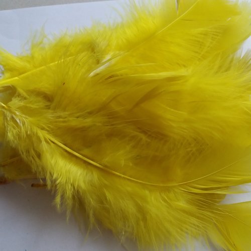 Lot plumes jaunes, 2ème choix, tailles variées,  pour loisirs créatifs enfants, travaux manuels, masques, customisation, bijoux