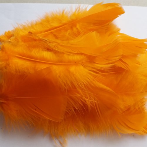 Lot plumes orange, 2ème choix, tailles variées,  pour loisirs créatifs enfants, travaux manuels, masques, customisation, bijoux