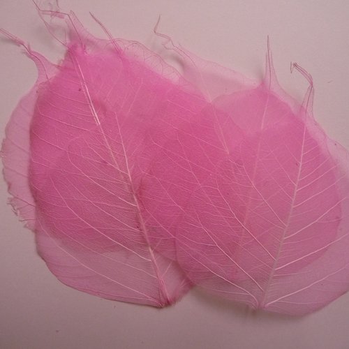 10 grandes feuilles squelettes vegetales couleur rose