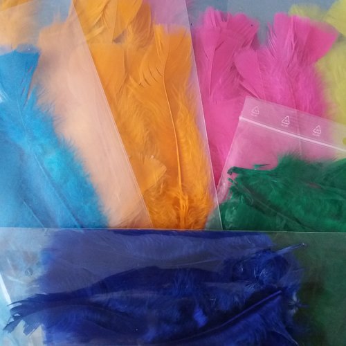 Assortiments plumes  2 ème choix, tailles variées,  pour loisirs créatifs enfants, travaux manuels, masques, customisation, bijoux