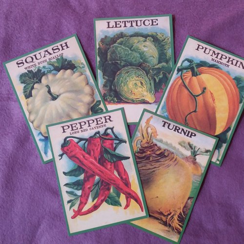 5 cartes décoratives illustrations légumes - home-déco, cadres, décorations, créations diverses