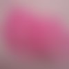 10 grandes feuilles squelettes vegetales couleur rose 