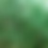 50 g perles rocailles tubes couleur verte 