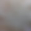 60 perles toupies en verre - 8 mm - couleur blanc laiteux 