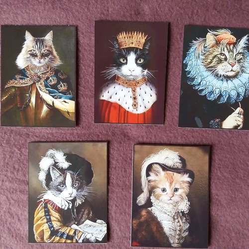 Images chats habillés - scrapbooking, carterie, papeterie, home-déco, loisirs créatifs