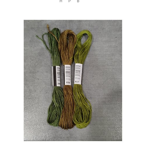 Lot de 3 échevettes coton