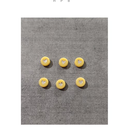 Lot de 6 perles palets acryliques