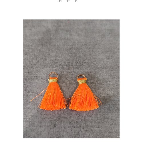 Lot de 2 pompons fils