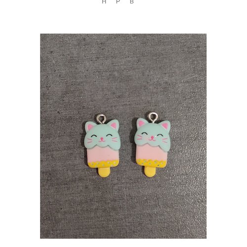 Lot de 2 breloques résine kawaii