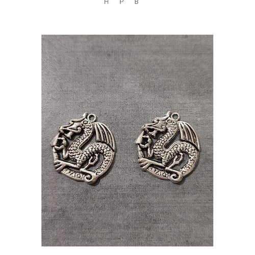 Lot de 2 breloques dragon en métal argenté