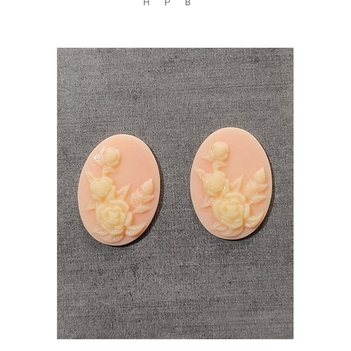 Lot de deux camées en résine