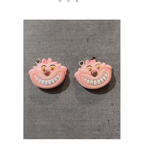 Lot de 2 breloques résine chat du cheshire