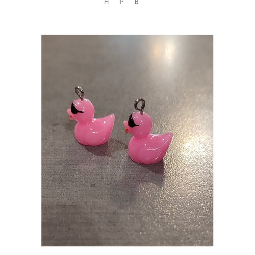 Lot de 2 breloques résine canard