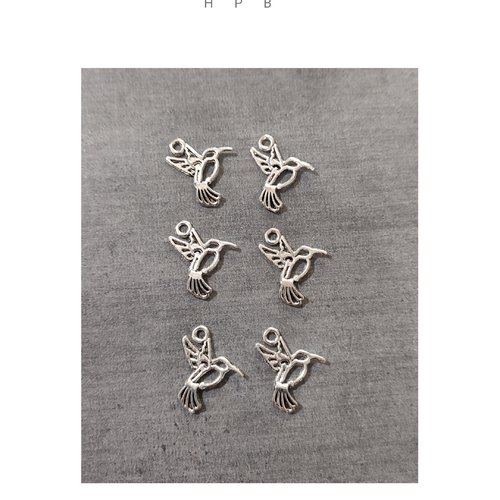 Lot de 6 breloques colibris en métal argenté
