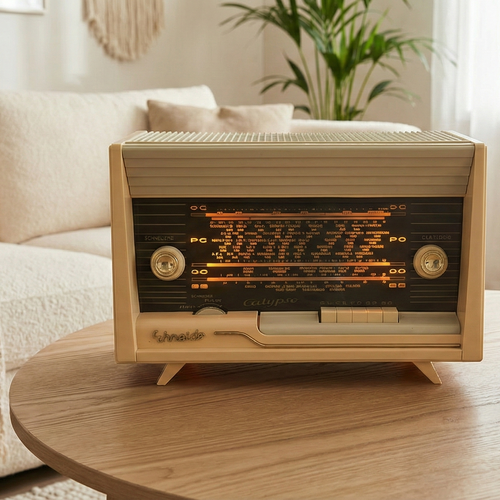 Enceinte poste vintage 1958 schnedeir