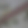 Galon rose, vert et ivoire de passementerie pour bordure d'abat jour, embrasse à rideau,2428