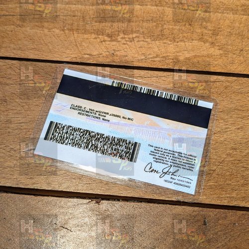 Permis de conduire carl johnson