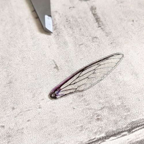 Breloque pendentif aile de libellule acrylique résine 33x21mm x1