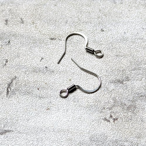 Crochets boucles d'oreilles en acier inoxydable argenté 22 mm x10 (5 paires)