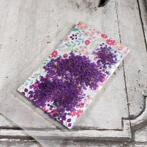 Fin de sachets fleurs séchées teintées violet environ 18 fleurs