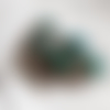 5 plumes de paon naturelles vert bleu 50-60mm récolte éthique france