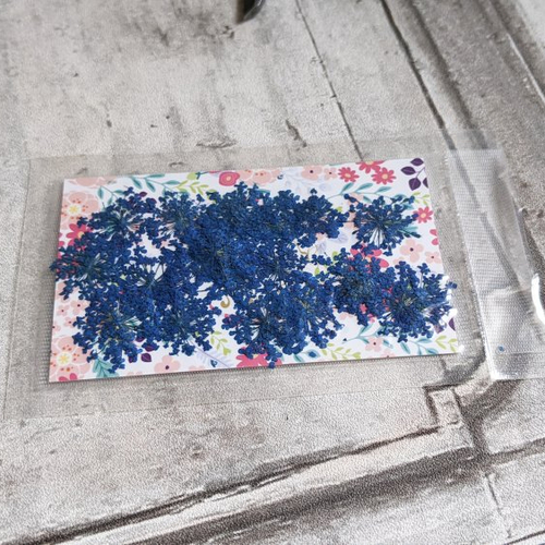 Sachet 24 fleurs séchées teintées bleu foncé x1