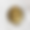 Pendentif estampe filigrane bronze médaillon doré ovale boitier montre 47x33mm x1