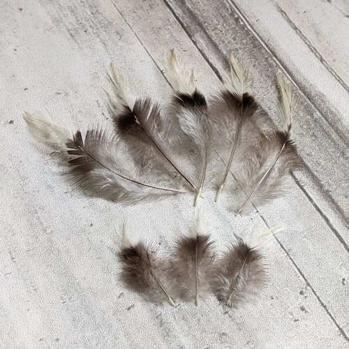 8 plumes naturelles de coq hollandais noir blanc récolte éthique france 3 x45mm et 5 x85mm