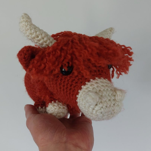 Vache highland