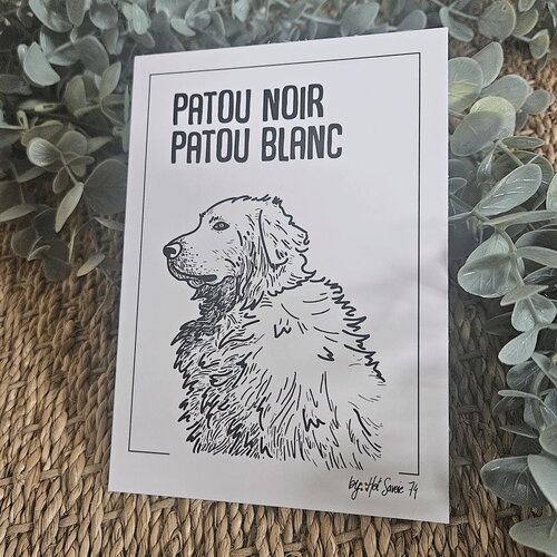 Carte postale | patou noir patou blanc | 10x15 cm | animaux du paysage montagnard